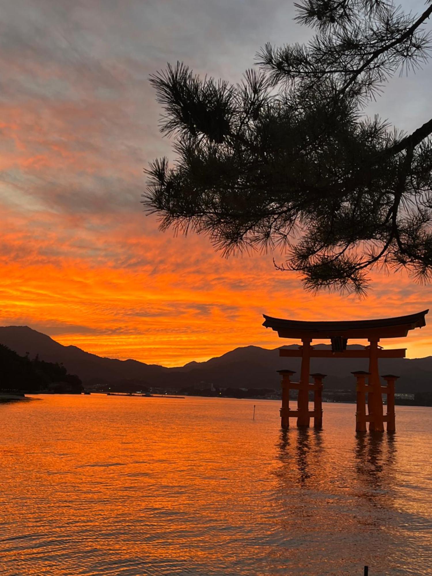 宮島 町家宿 進龍庵 Hatsukaichi Luaran gambar