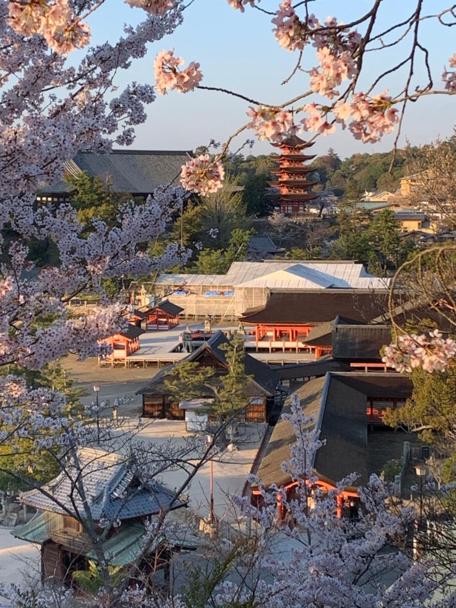 宮島 町家宿 進龍庵 Hatsukaichi Luaran gambar